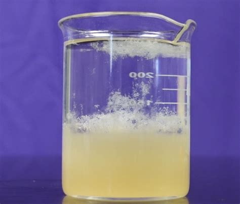 extract banana dna|Banana DNA Extraction: Visualizing Deoxyribonucleic Acid .